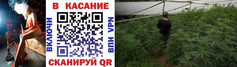 Наркошоп Гай Конопля  Псилоцибиновые грибы  Мефедрон 