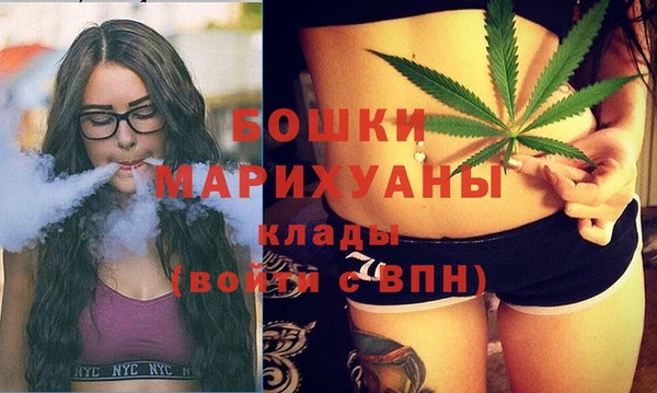 стаф Богданович