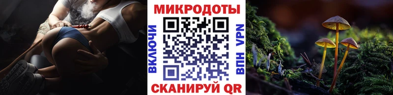 darknet какой сайт Гай Псилоцибиновые грибы Cubensis наркота