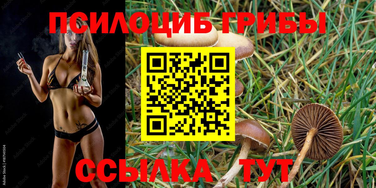 Галлюциногенные грибы Magic Shrooms  Галлюциногенные грибы Cubensis  Гай 