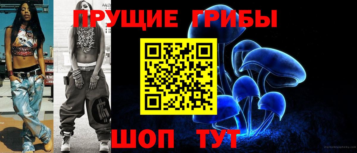 Псилоцибиновые грибы Cubensis Гай