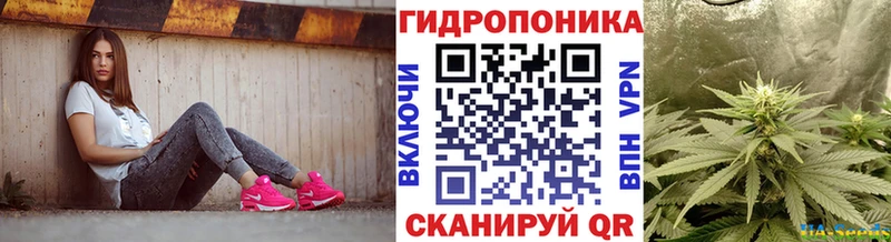 kraken ССЫЛКА  как найти закладки  Гай  Канабис план 